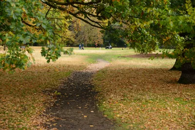 DSC_0466 (Large).JPG